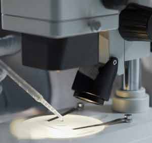 Laboratory worker preparing biological material, DNA test to establish paternity